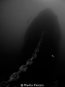 SS THISTLEGORM by Marko Perisic 